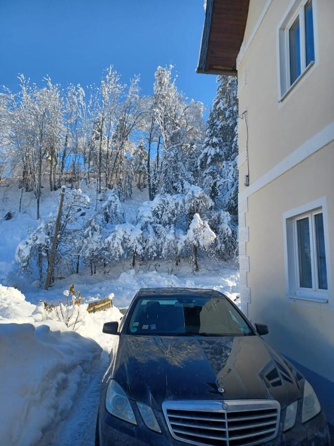 Ferienwohnung Gaensebluemchen Feistritz an der Gail Ngoại thất bức ảnh